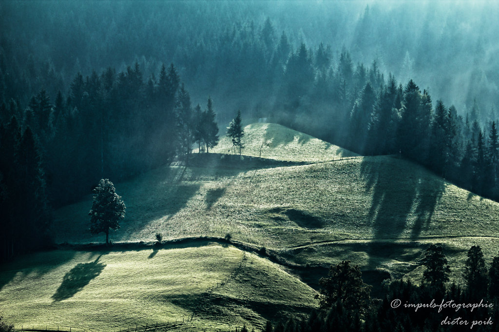 Alpine pasture 2
