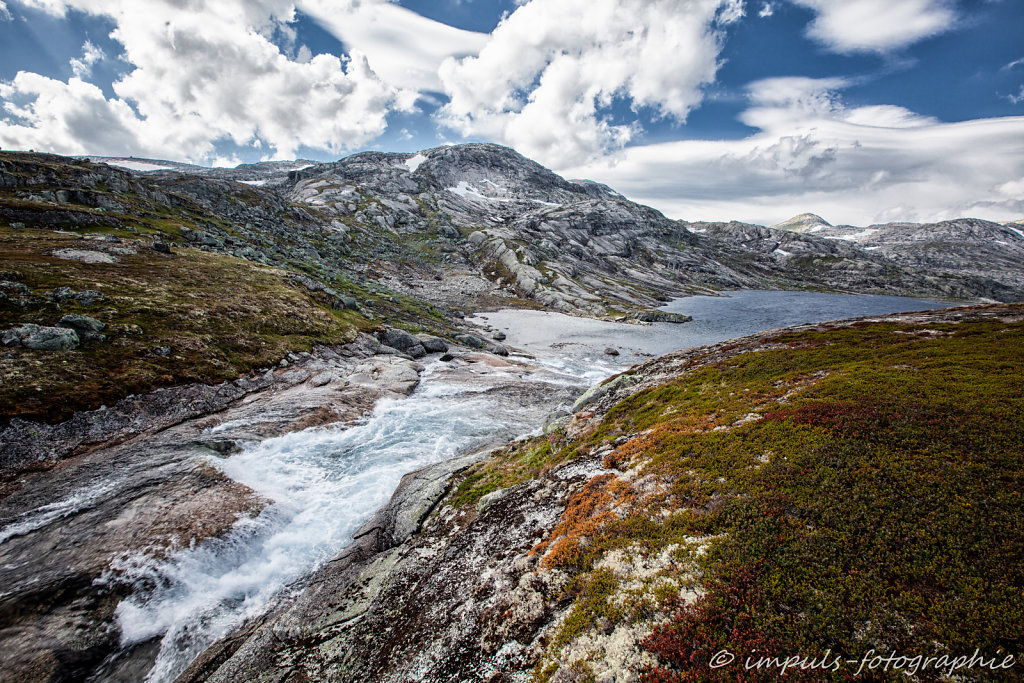 IMG-4879-Bearbeitet.jpg